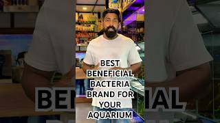 Best beneficial bacteria for your aquarium  aquarium maintenance part 3 aquariumhobby aquarium [upl. by Angelia]