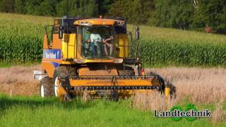 Getreideernte 2016  New Holland CSX 7040 kämpft sich durch 4K [upl. by Ednarb]