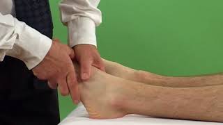 Anterior talofibular ligament test [upl. by Millian]