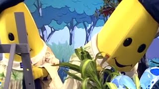 Classic Compilation 24  Full Episodes  Bananas in Pyjamas Official [upl. by Niabi745]