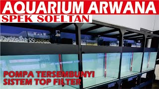 AQUARIUM ARWANA SPEK SOELTAN TERLENGKAP BERGARANSI [upl. by Emse]