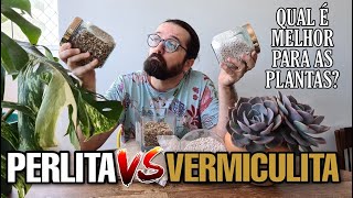 PERLITA ou VERMICULITA  Qual é melhor para as plantas [upl. by Thorbert508]