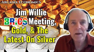 Jim Willie BRICS Meeting Gold amp The Latest On Silver [upl. by Nathalia433]