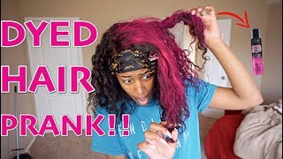 DYEING MY GIRLFRIEND HAIR PINK PRANK [upl. by Eiramrefinnej]