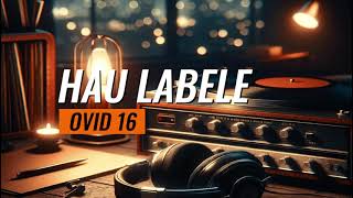 Ovid 16  Hau Labele Lirik Musik Video [upl. by Elicec776]