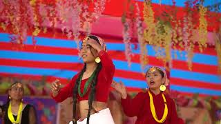 Deuralima Bar Pipal Chautari Dance performance [upl. by Walburga]