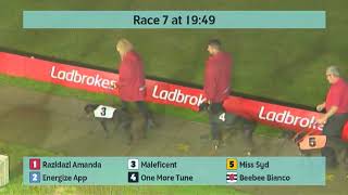 Crayford Greyhounds Races on 6th October 2024 [upl. by Alema]