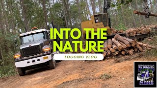 We logging Mane A great day driving logtruck [upl. by Mendelsohn975]