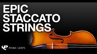 Epic Staccato String Sounds Dramatic String Loops amp Samples [upl. by Tillo]