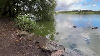 Marbury Country Park Walk [upl. by Anitnelav]