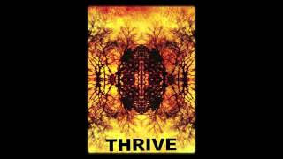 Blacktop Mojo  Thrive [upl. by Ahab]