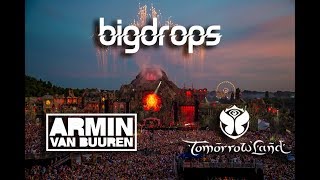 Armin van Buuren drops only live Tomorrowland 2013 [upl. by Ecinahc780]