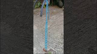 This knot is used to set up a tent shorts knot simpul tali astoahoy tutorial cara method [upl. by Yerg]