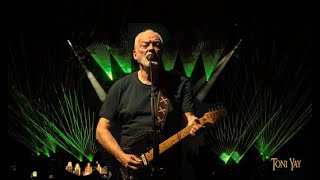 David Gilmour ❀ Comfortably Numb ☆ Live Circo Massimo Roma 2024 ☆ [upl. by Ainessey]