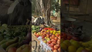 अंकल का सब्ज़ी गाय माता खा गई😱🥲humanity respect helping trending viralvideo youtubeshorts [upl. by Ailin]