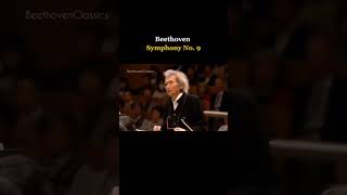 Excerpt from Beethoven Symphony No 9  Seiji Ozawa amp Radek Baborak  Mito Chamber Orchestra [upl. by Aicilf]