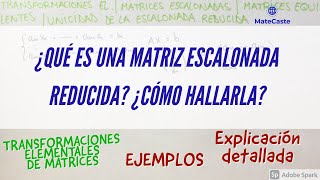 MATRIZ ESCALONADA REDUCIDA  TRANSFORMACIONES ELEMENTALES  ¿CÓMO HALLAR MATRIZ ESCALONADA [upl. by Ertnom]