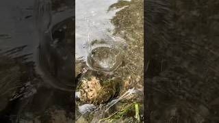 Dropping rocks in water [upl. by Nhabois]