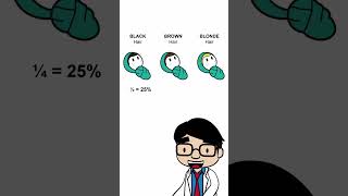 Genetics Punnett Square for INcomplete Dominance genetics alleles dna hereditary genes Punnett [upl. by Aivull]