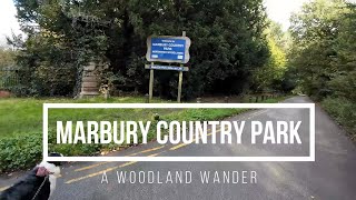 Woodland Wander Marbury [upl. by Nera]