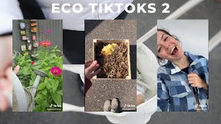 More Eco TikToks to Help Us All Be A Little Kinder to the Earth [upl. by Rapp]