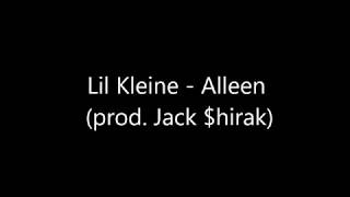 Lil Kleine Alleen Lyrics [upl. by Auhsot425]