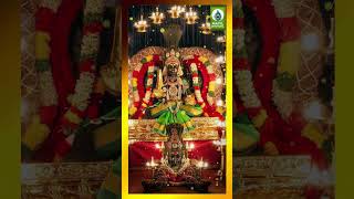 Enga Petchi Amma  Karuppasamy Devotional Songs shorts bakthi tamilgodsongs [upl. by Washko]