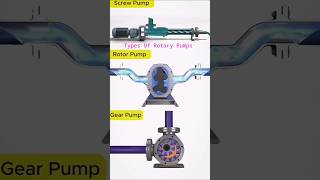 Types of Rotary Pumps Explained shorts trending rotary [upl. by Mansoor545]