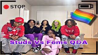 Studs Vs Fems QampA  Dallas Tx [upl. by Kcirdot]