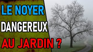 LE NOYER LARBRE MAUDIT  permaculture vulgarisation permaculteur [upl. by Tjaden]