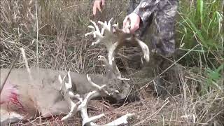 300 plus inch whitetail [upl. by Perseus661]