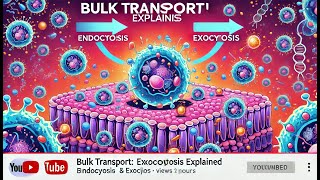 Bulk Transport Endocytosis amp Exocytosis Explained [upl. by Happy]