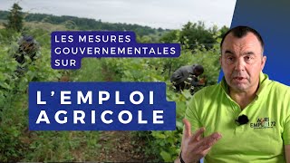 Des mesures pour lemploi de main dœuvre dans lagriculture [upl. by Aremat]