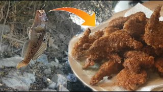 Grundeln angeln am Rhein Plage wird zum Mittagessen  Rhein Catch and Cook Ep 1 [upl. by Ahtanamas]