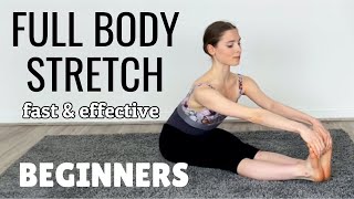 Stretches for the Inflexible Beginner Full Body Flexibility Routine [upl. by Nussbaum723]