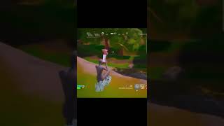 memesdaily memes fortnite shorts fortnitebattleroyale [upl. by Gnilsia619]