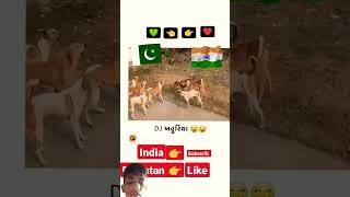 India wali subscribe karo dog Pakistan wale like karo dekhte hain kiska Kitna like aur subscribe [upl. by Lory]