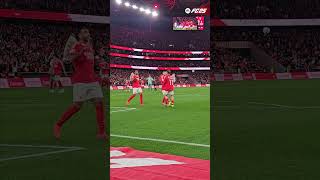 ⚽⚽ Aktürkoğlu 20 • slbrafc ligaportugalbetclic golo goal benfica slbenfica [upl. by Ecnar5]