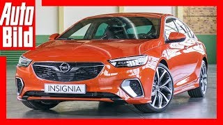 Opel Insignia GSi 2017 GSi Comeback ReviewDetailsErklärung [upl. by Auqinehs884]