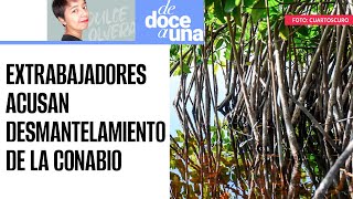 DeDoceAUna ¬ Extrabajadores acusan desmantelamiento de la CONABIO clave para ecosistemas de México [upl. by Lira54]