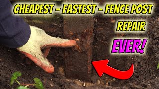 Fence Post Repair  SUPER EASY AND FAST [upl. by Euqinomod78]