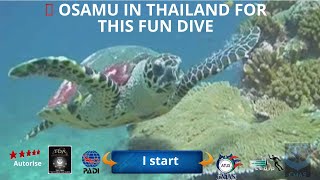 🤿 Osamu in Thailand for this fun dive with the 5 star diving center Dive Academy Thailand Diving [upl. by Aniar618]