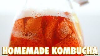 How To Make Kombucha At Home [upl. by Clarette]