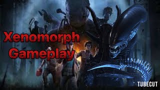 Xenomorph Gameplay in Dead by Daylight [upl. by Yenreit]