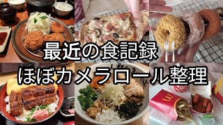 初夏の食まとめ〜データフォルダ整理〜 [upl. by Adnilym]