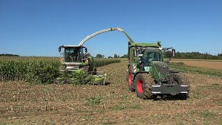 Mais2023 LU Schmidt Ronneburg Claas Jaguar 950 mit Fendt Abfahrern beim Mais Häckseln [upl. by Araes259]