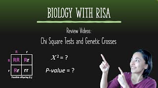 Chi Square Test and Genetic Crosses [upl. by Cioban]