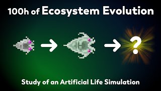 What will happen after 100h of evolution Study of natural selection in an ecosystem simulator [upl. by Hanan]