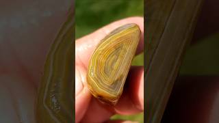 Lovely Limonite 💛 agate rocks crystals [upl. by Enitsirhc]