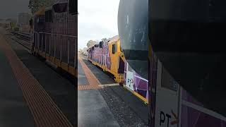 The 205pm Warrnambool service arriving into North Geelong station on 31082024 🚉 [upl. by Keyek293]